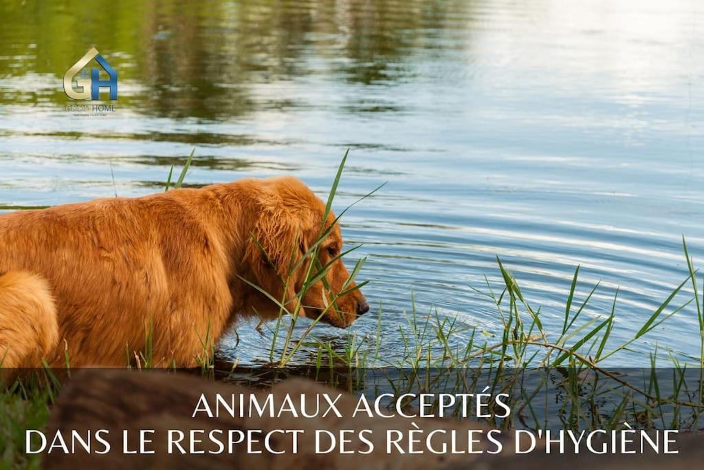 *L'Ecrin De L'Etang* Depaysement Assure Villa Bourbourg Kültér fotó