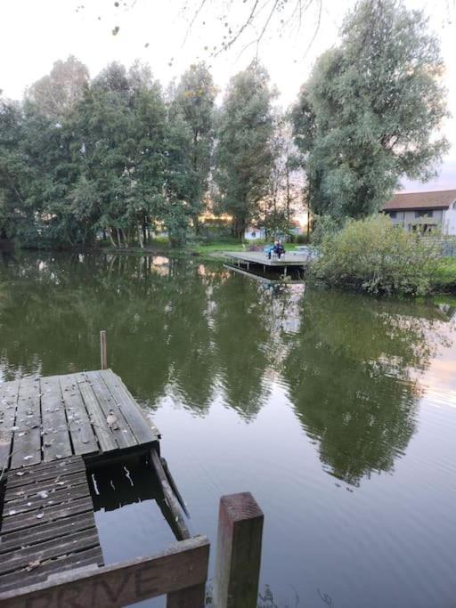 *L'Ecrin De L'Etang* Depaysement Assure Villa Bourbourg Kültér fotó